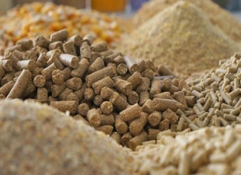 ЗДОРОВЫЙ КОРМ